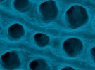 Nanoscale Science and Engineering