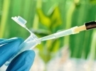 Plant Biology