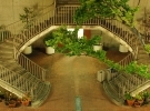 Chemical Biology