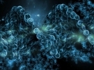 Bioengineering/Materials Science and Engineering Joint Major