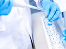 Nutritional Sciences and Toxicology