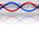 Bioengineering