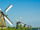 Dutch Studies