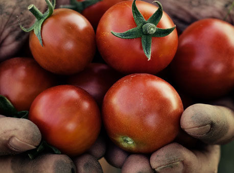 Food Systems
