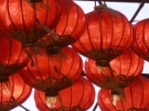 Japanese Studies