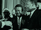 African American Studies
