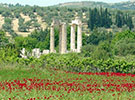 Ancient History and Mediterranean Archaeology