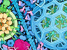 Biophysics
