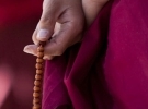 Buddhist Studies