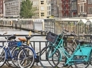 Dutch Studies