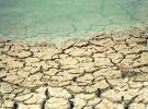 Environmental Science, Policy and Management