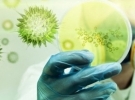 Infectious Diseases and Immunity