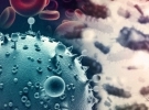 Molecular Toxicology