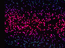 Molecular Science and Software Engineering