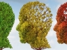 Neuroscience