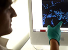 Translational Medicine