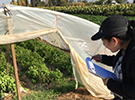 Food Systems