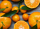Nutritional Sciences and Dietetics